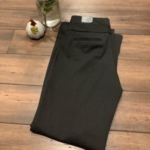 🎀NWT Express Editor Pants
